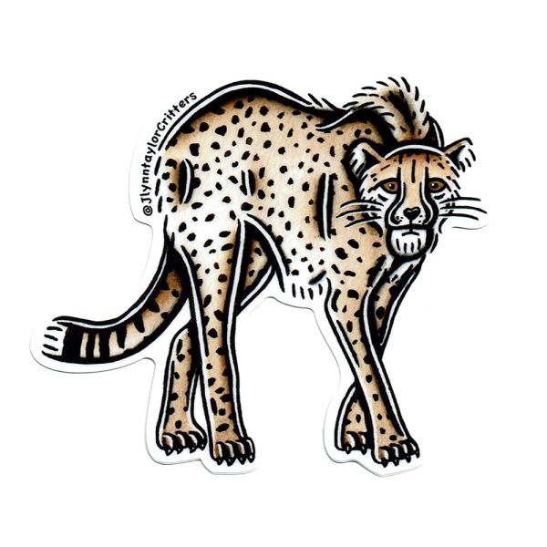 African Cheetah Sticker Hot on Sale