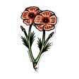 California Poppies Sticker Discount