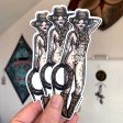 Rope Cowgirl Pinup sticker Fashion