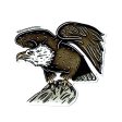 American Bald Eagle Sticker For Cheap