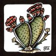 Prickly Pear Cactus Original Painting Fashion