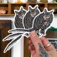 Nine-Banded Armadillo Sticker Sale