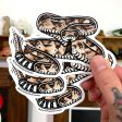 Western Diamondback Rattlesnake Sticker Fashion