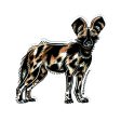 African Wild Dog Sticker Fashion