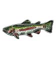 Rainbow Trout Sticker Cheap