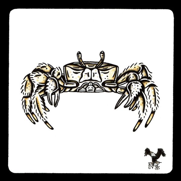 Atlantic Ghost Crab Original Painting Cheap