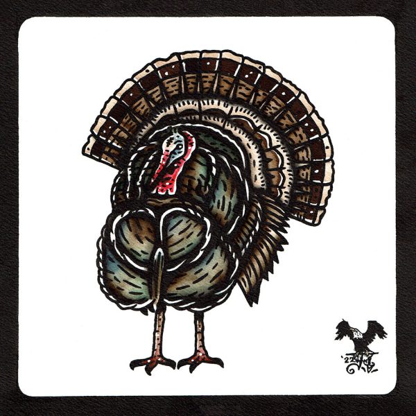 Wild Turkey Original Painting Online