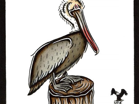 Brown Pelican Original Painting Online Hot Sale