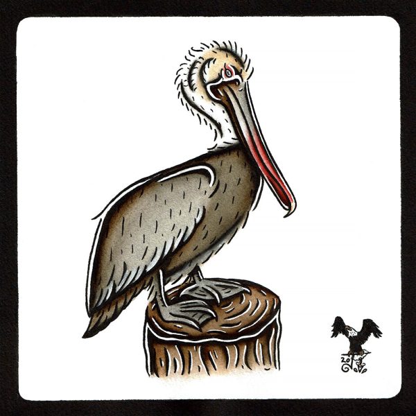 Brown Pelican Original Painting Online Hot Sale