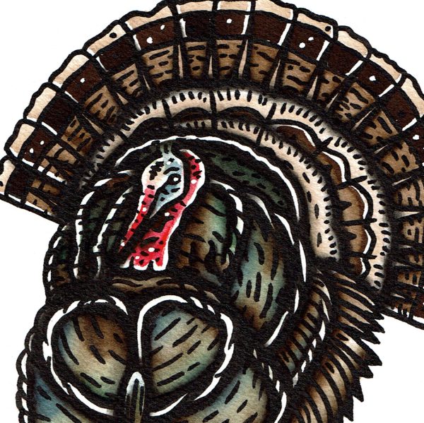 Wild Turkey Original Painting Online